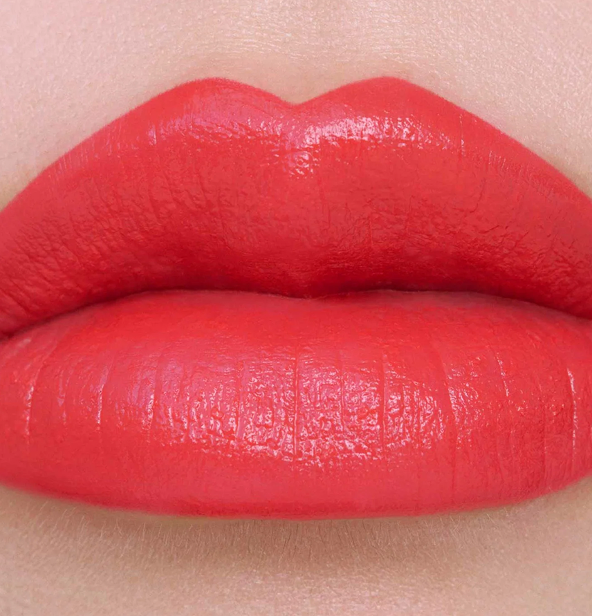 NEW: ANNA SUI ROUGE REDS