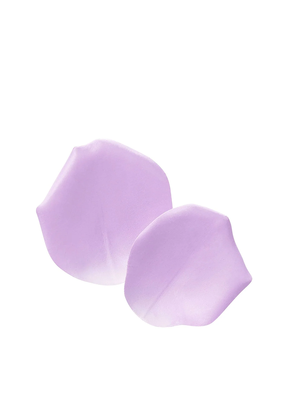 LIMITED EDITION: 
                Anna Sui Rose Face Powder